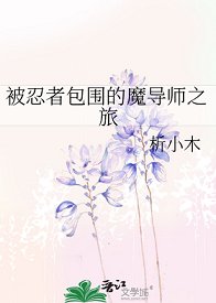 (火影同人)被忍者包围的魔导师之旅